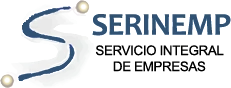 Asesoría Serinemp